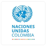 Organización de Naciones Unidas